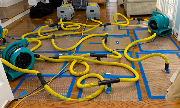 Professional Flood Damage Restoration technician working in Farber, MO
